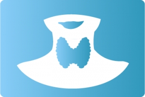 Endocrinolog&iacute;a